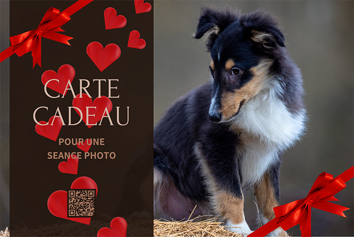 Carte Cadeau pour Portrait d'Animal de Compagnie