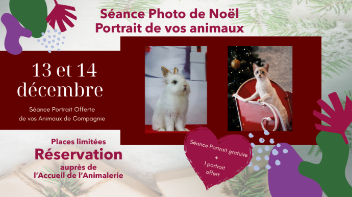 Affiche Mini-Séance Photo de Noël 13 et 14 décembre Animalerie Leclerc Olivet dans le Loiret